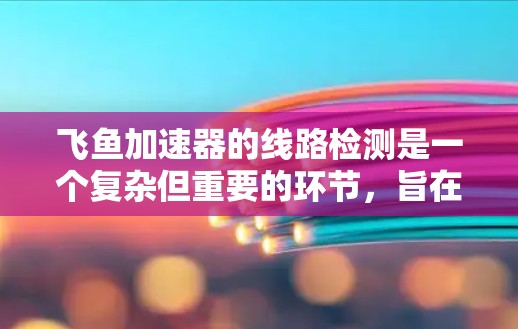 飞鱼加速器的线路检测是一个复杂但重要的环节，旨在确保设备正常运行并维护设备的性能。以下是对该过程的详细分析