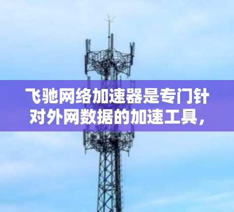飞驰网络加速器是专门针对外网数据的加速工具，帮助用户提升外网数据传输和下载速度。以下是对其在支持外网工具方面的详细信息