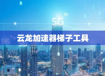 云龙加速器梯子工具