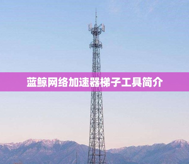 蓝鲸网络加速器梯子工具简介