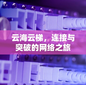 云海云梯，连接与突破的网络之旅