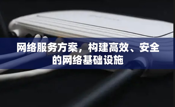 网络服务方案，构建高效、安全的网络基础设施