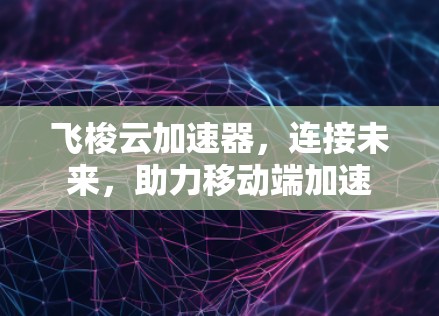 飞梭云加速器，连接未来，助力移动端加速
