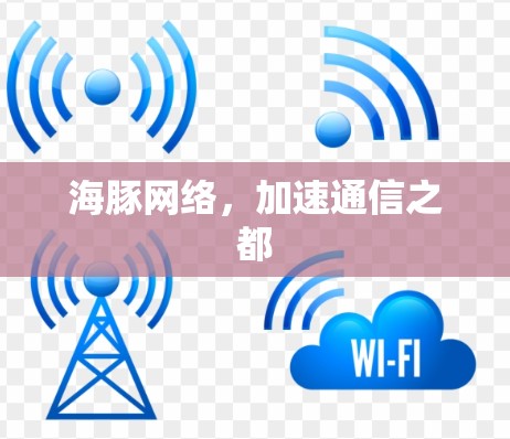 海豚网络，加速通信之都
