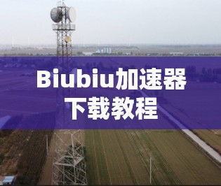 Biubiu加速器下载教程