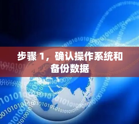 步骤 1，确认操作系统和备份数据