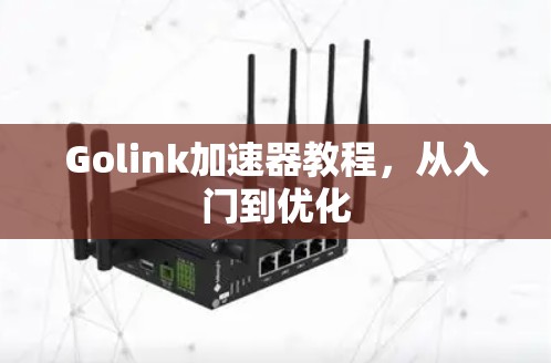 Golink加速器教程，从入门到优化