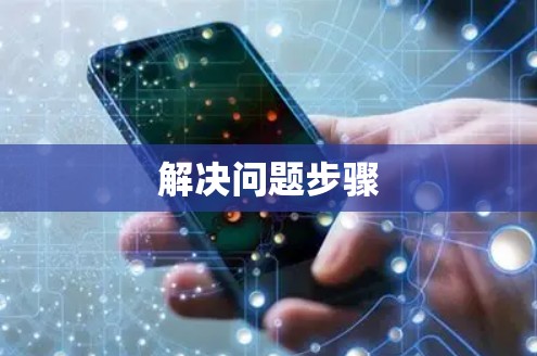 解决问题步骤