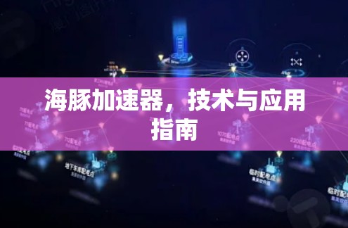 海豚加速器，技术与应用指南