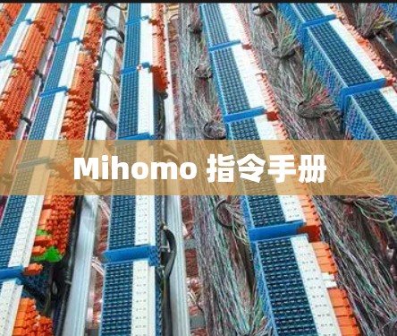 Mihomo 指令手册