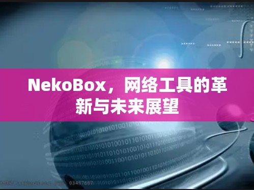 NekoBox，网络工具的革新与未来展望