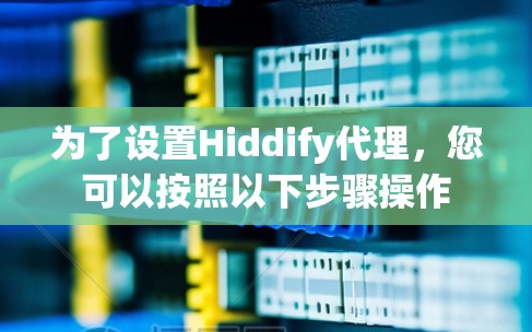 为了设置Hiddify代理，您可以按照以下步骤操作