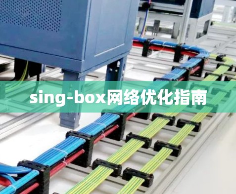 sing-box网络优化指南