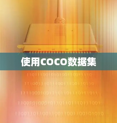 使用COCO数据集