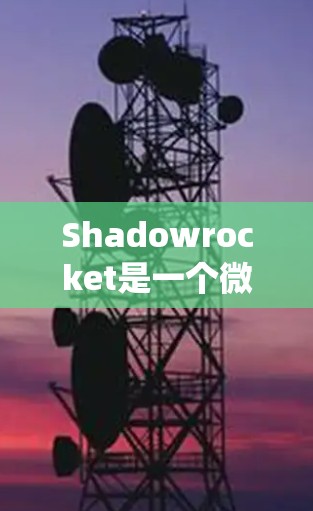 Shadowrocket是一个微型火箭系统，适合用于发射小型物体，如玩具、装饰品等。以下是一个详细的配置指南，涵盖其各个重要部分及其配置方法