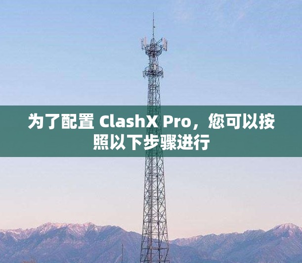 为了配置 ClashX Pro，您可以按照以下步骤进行