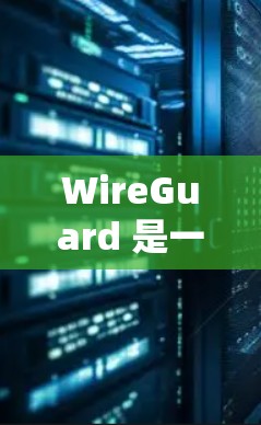 WireGuard 是一款用于保护互联网安全的软件，主要用于过滤和阻止恶意软件、钓鱼邮件和恶意链接，同时支持多种加密格式。以下是如何下载和使用WireGuard的步骤
