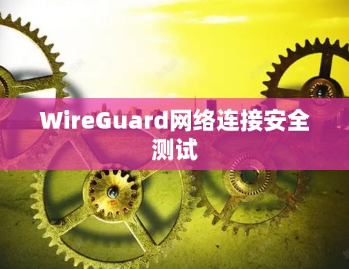 WireGuard网络连接安全测试