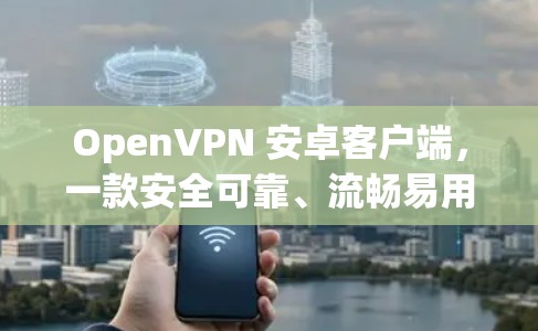 OpenVPN 安卓客户端，一款安全可靠、流畅易用的VPN应用