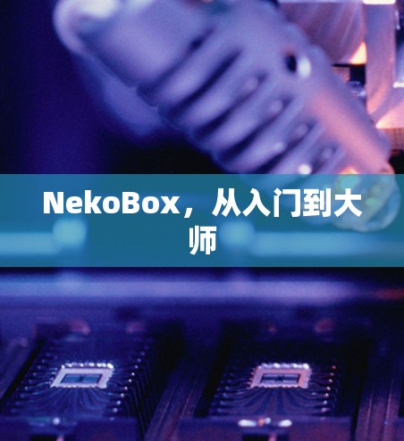 NekoBox，从入门到大师