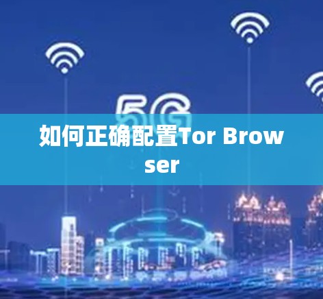 如何正确配置Tor Browser