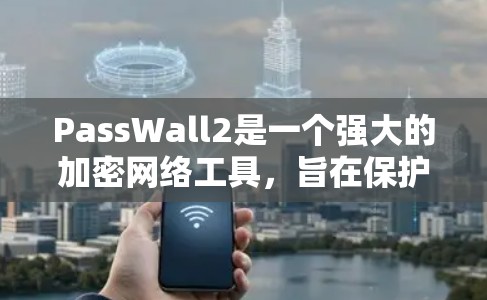 PassWall2是一个强大的加密网络工具，旨在保护网络数据的安全。以下是对PassWall2的详细分析