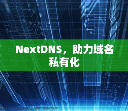 NextDNS，助力域名私有化
