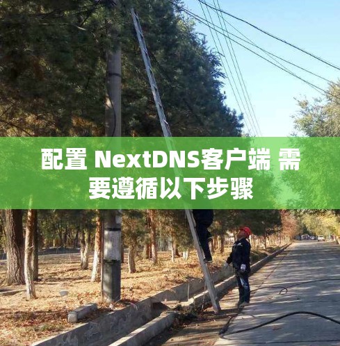 配置 NextDNS客户端 需要遵循以下步骤