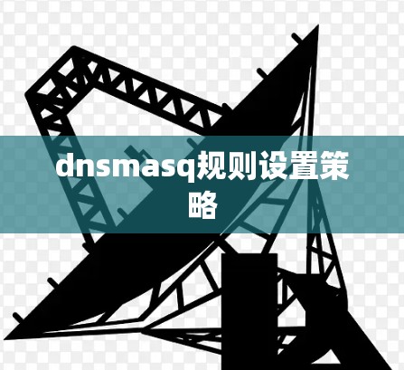 dnsmasq规则设置策略