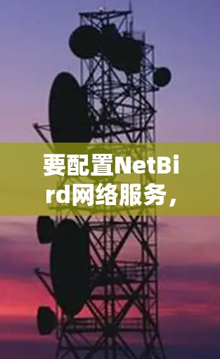 要配置NetBird网络服务，您可以按照以下步骤进行