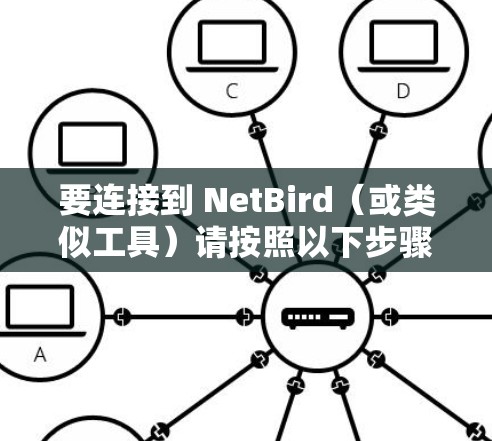 要连接到 NetBird（或类似工具）请按照以下步骤操作