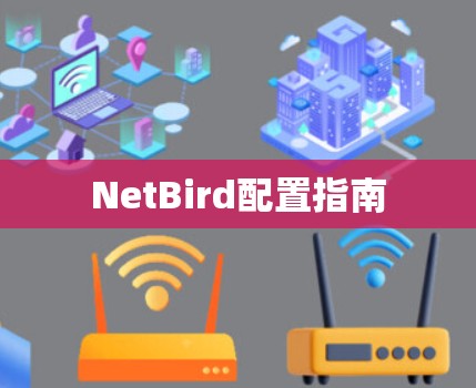 NetBird配置指南