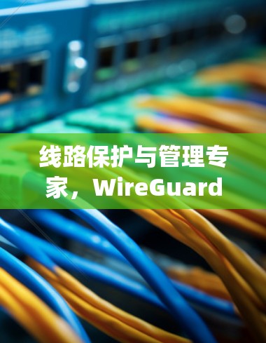 线路保护与管理专家，WireGuard Manager