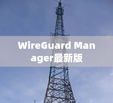 WireGuard Manager最新版