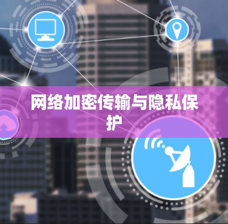 网络加密传输与隐私保护