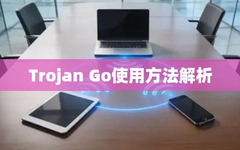 Trojan Go使用方法解析