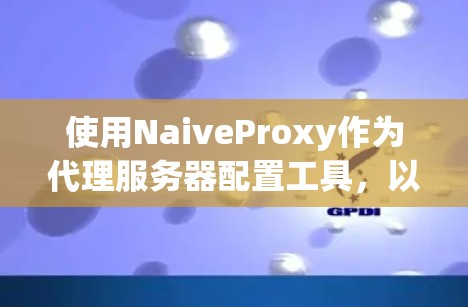 使用NaiveProxy作为代理服务器配置工具，以下是详细的使用指南