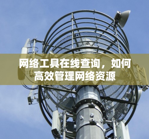 网络工具在线查询，如何高效管理网络资源