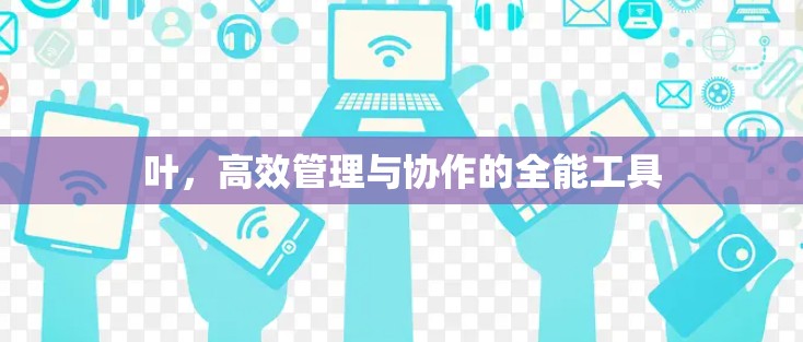 叶，高效管理与协作的全能工具