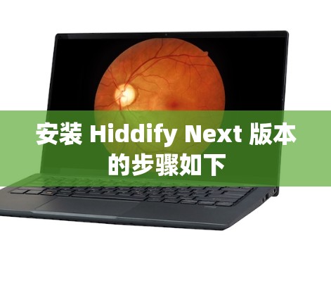 安装 Hiddify Next 版本的步骤如下