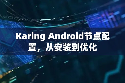 Karing Android节点配置，从安装到优化