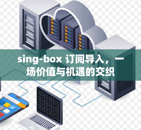 sing-box 订阅导入，一场价值与机遇的交织
