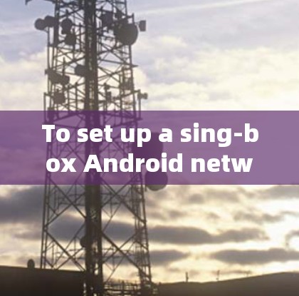 To set up a sing-box Android network in your home network,follow these organized steps: