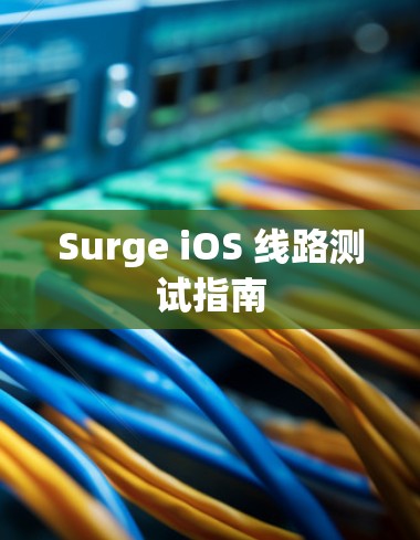Surge iOS 线路测试指南