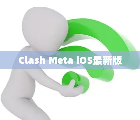Clash Meta iOS最新版