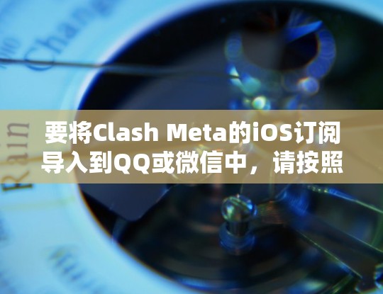要将Clash Meta的iOS订阅导入到QQ或微信中，请按照以下步骤操作