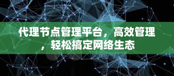 代理节点管理平台，高效管理，轻松搞定网络生态