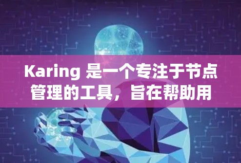 Karing 是一个专注于节点管理的工具，旨在帮助用户筛选和管理计算机网络中的节点。以下是对 Karing 节点筛选功能的详细介绍