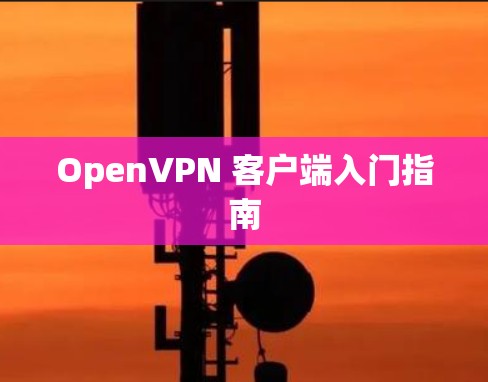 OpenVPN 客户端入门指南