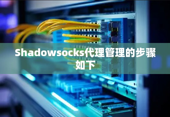 Shadowsocks代理管理的步骤如下